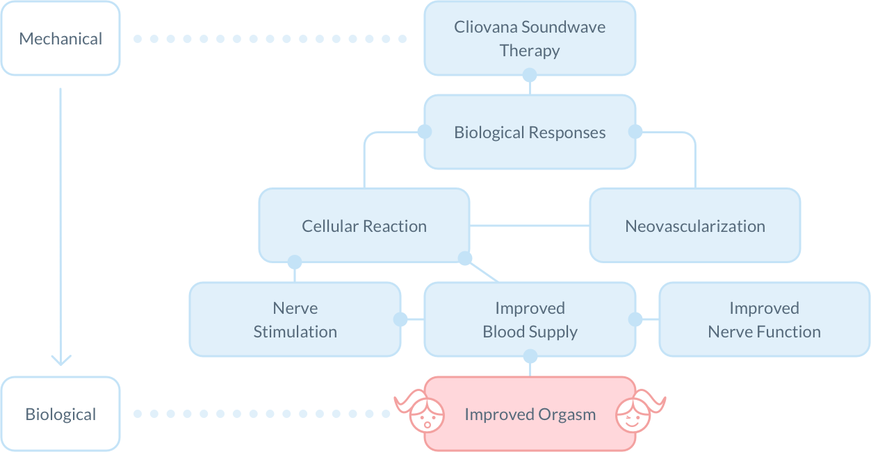 How Cliovana works